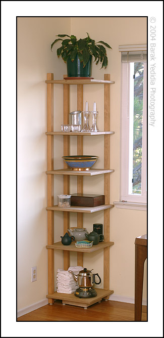 Corner Book Case